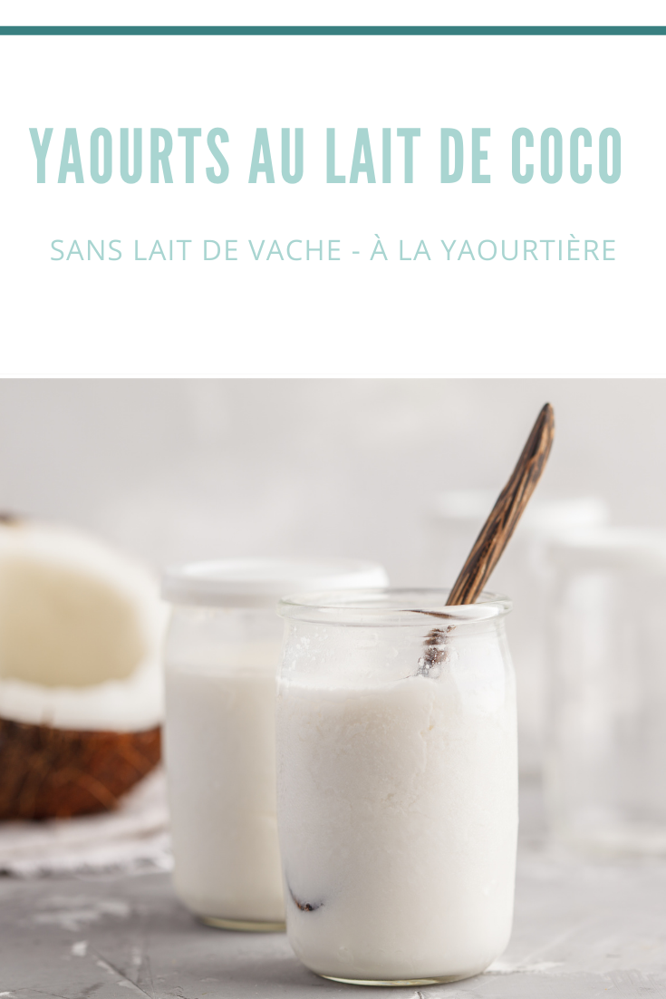 Yaourts Au Lait De Coco Healthy And You